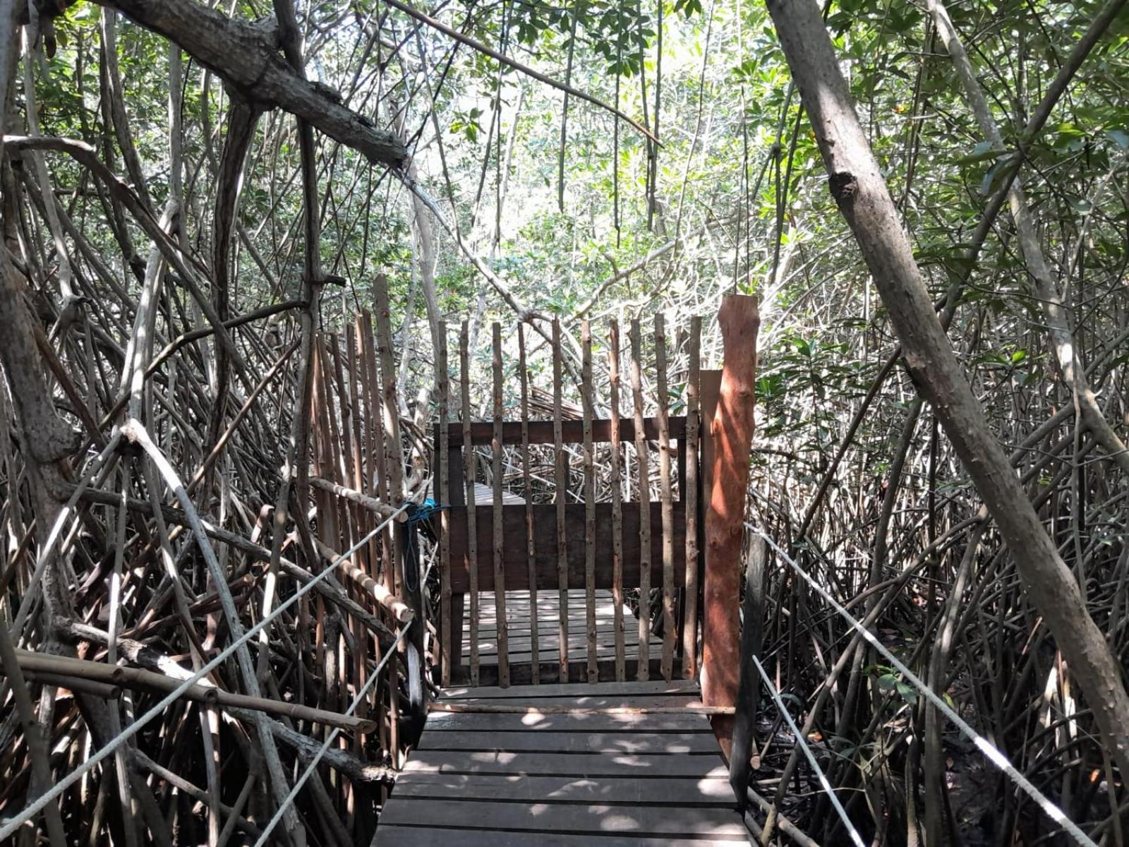 Hotel El Puente El Paredón Buena Vista Zewnętrze zdjęcie